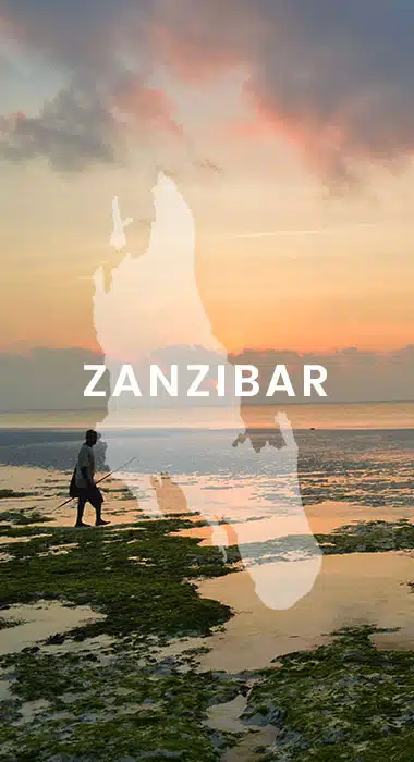 template-panel-zanzibar